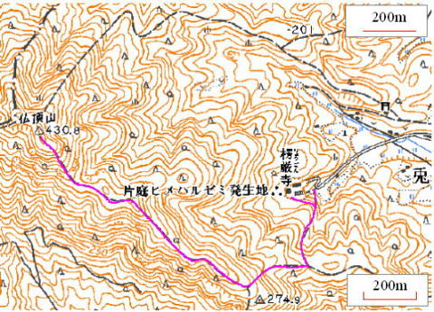 buchiyosanM05_1.jpg